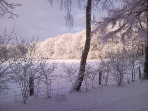 Winterlandschap 