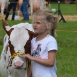 FotografieMarjanNoteboom-Maarkelsnieuws-Fokveedag-20150730mmhnCSC_5921