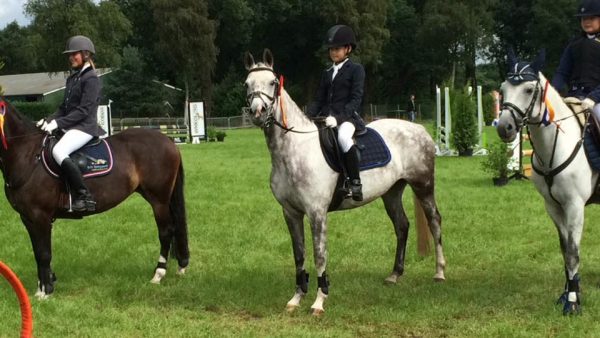 13900336_1447164701964221_471505057244804544_n