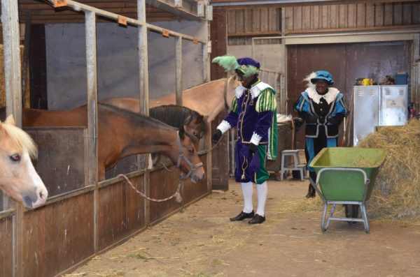 HofvanSint-2016-MMHN