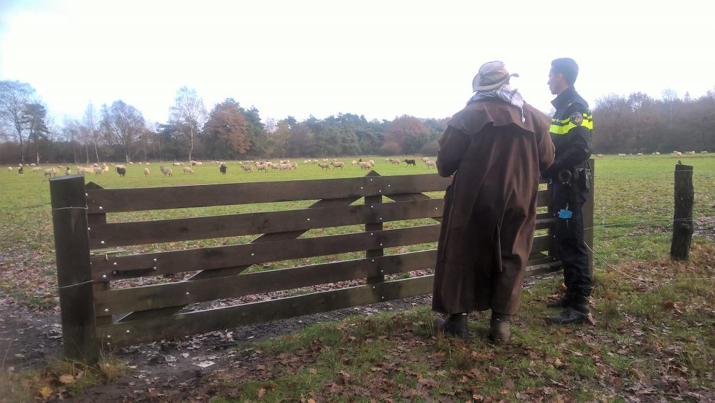 WP_20161117_10_18_53_Pro