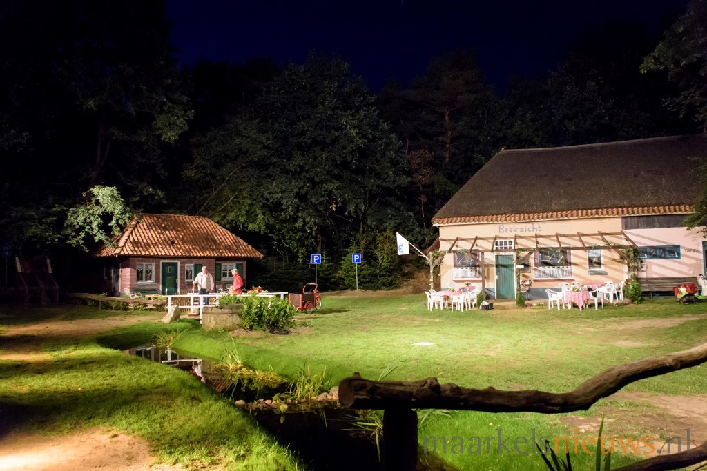 Kats op de löppe in De Kösterskoele