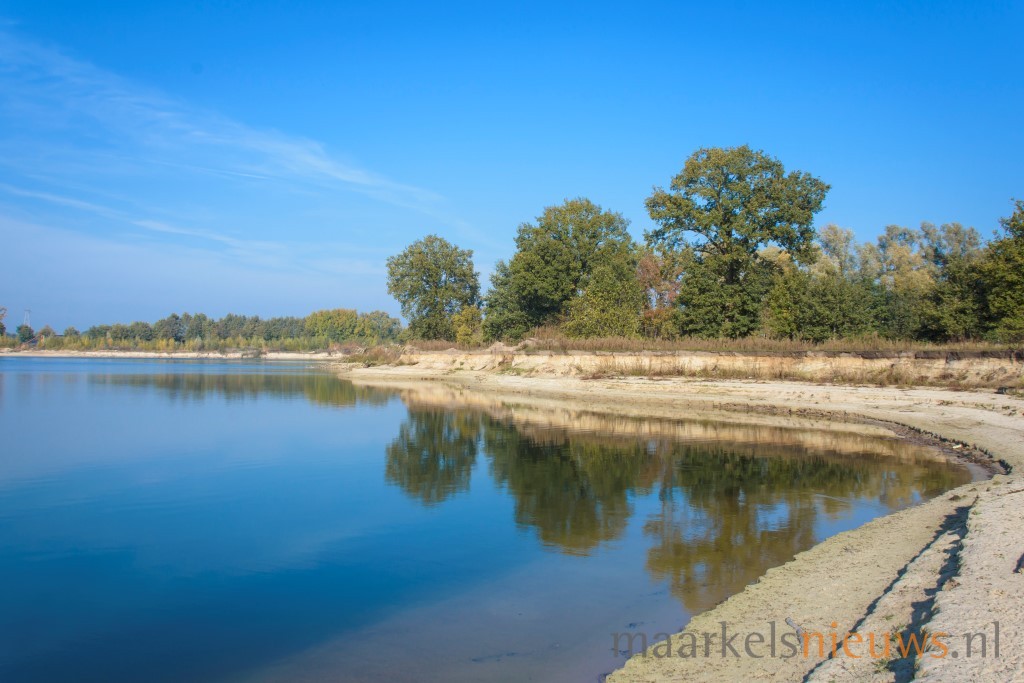 Wulpen massaal neergestreken bij De Domelaar