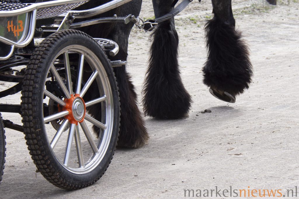 Zondag Happen & Stappen te paard