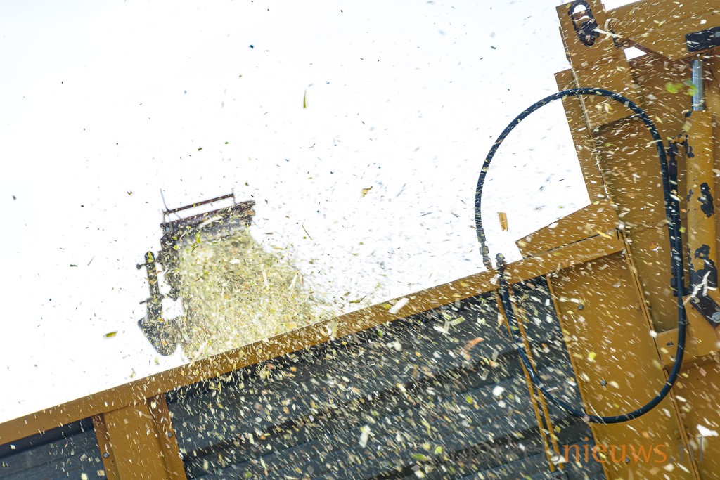 Adviesprijs snijmais 2025 vastgesteld op 1.850 euro