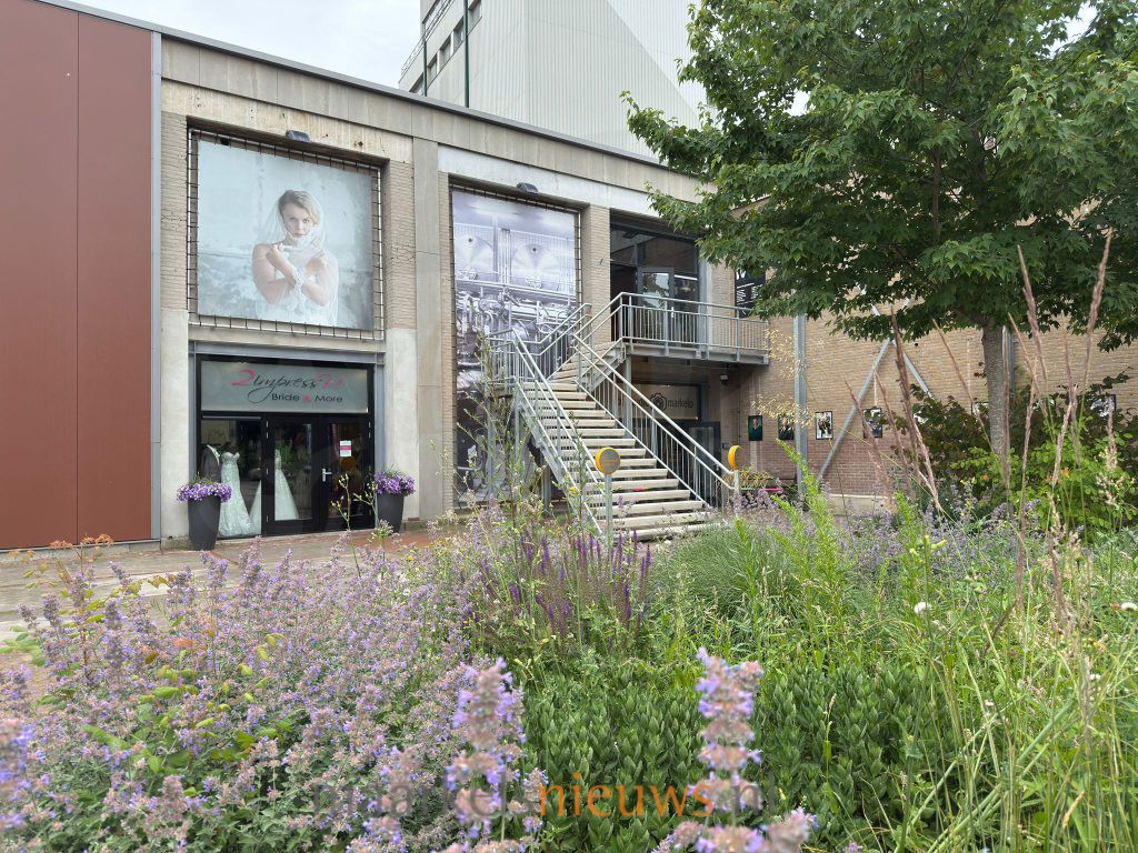 Creatieve workshop ‘Abstract zelfportret’