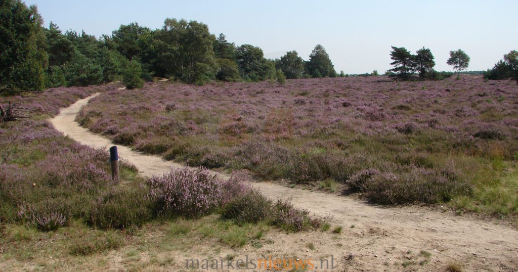 Provincie start verkenning rond De Borkeld