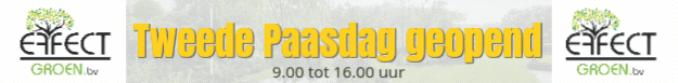 Klik op banner